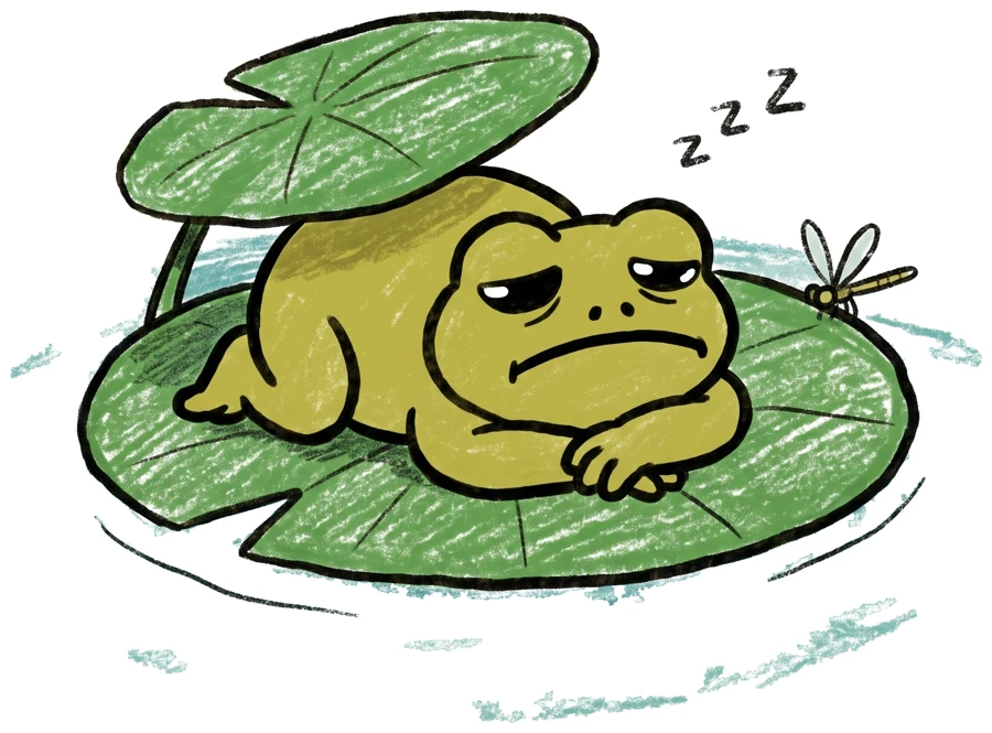todd asleep on a lily pad